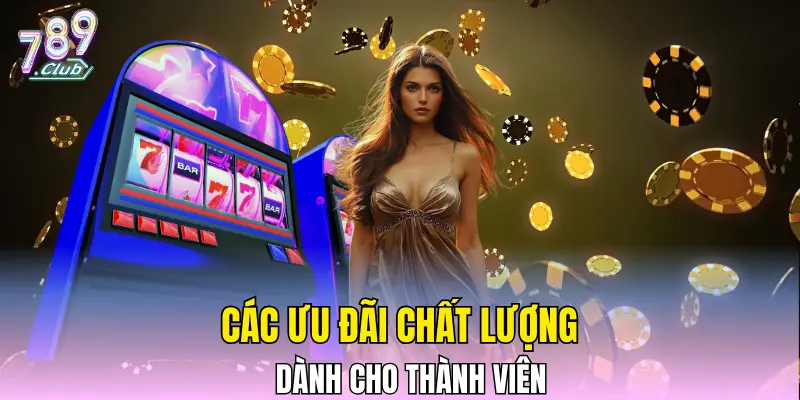 Các ưu đãi chất lượng dành cho thành viên Các ưu đãi chất lượng dành cho thành viên